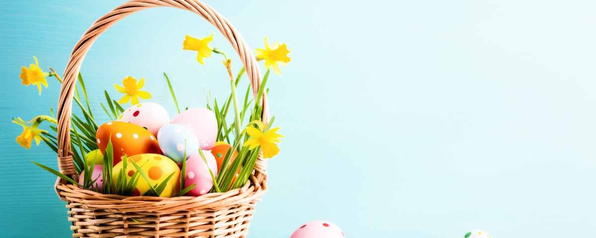 Basket of easter eggs and daffodil flower on blue background