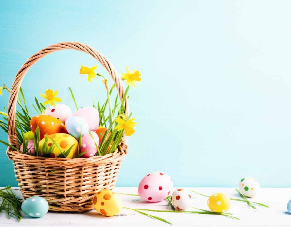 Basket of easter eggs and daffodil flower on blue background